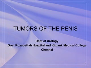 TUMORS OF THE PENIS
Dept of Urology
Govt Royapettah Hospital and Kilpauk Medical College
Chennai
1
 