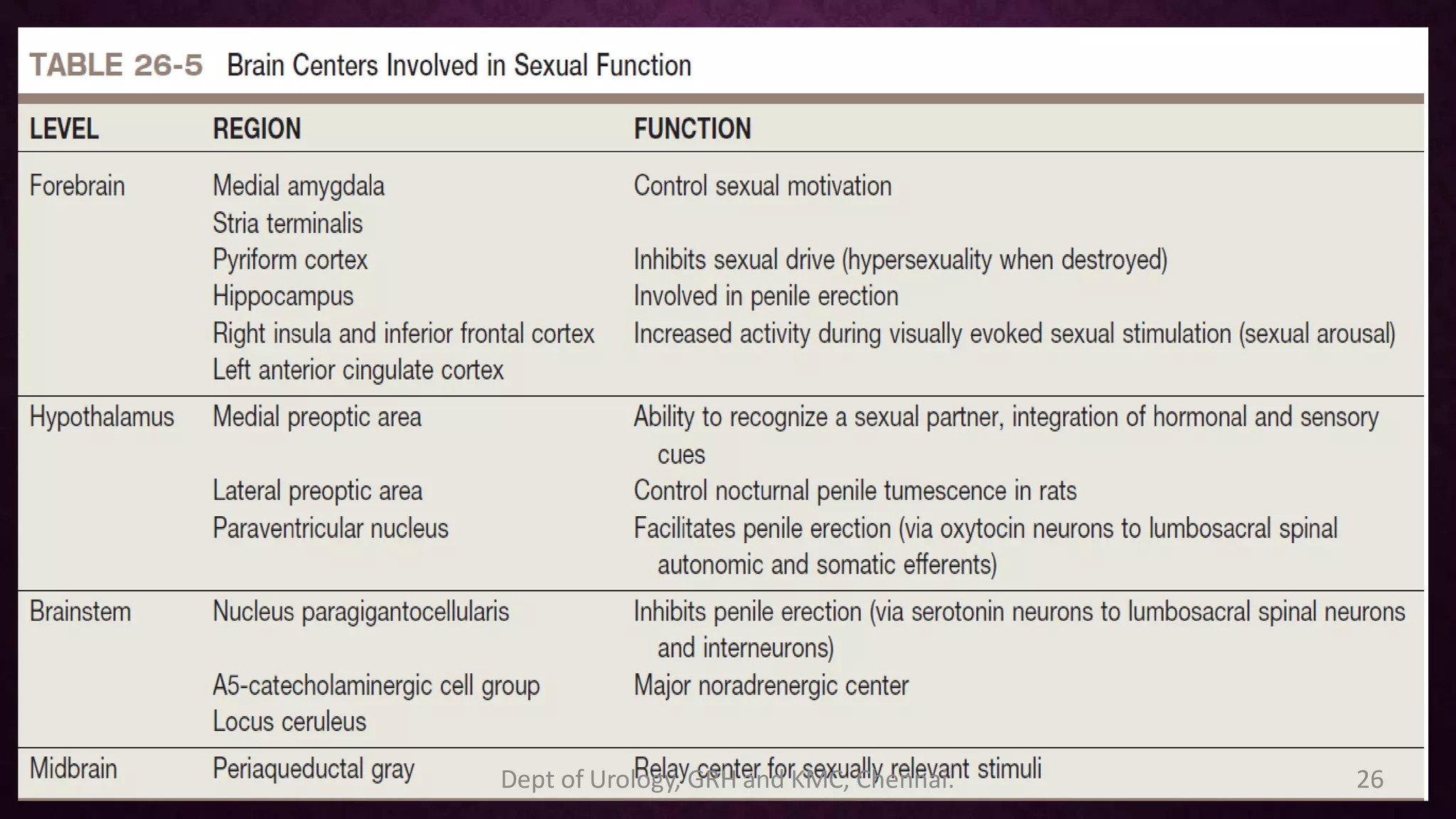 Filacio Penis erection physiology | PDF