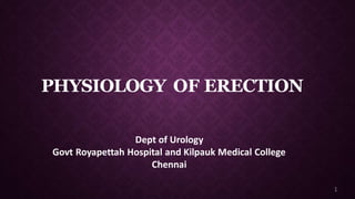 PHYSIOLOGY OF ERECTION
Dept of Urology
Govt Royapettah Hospital and Kilpauk Medical College
Chennai
1
 