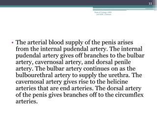 • The arterial blood supply of the penis arises
from the internal pudendal artery. The internal
pudendal artery gives off branches to the bulbar
artery, cavernosal artery, and dorsal penile
artery. The bulbar artery continues on as the
bulbourethral artery to supply the urethra. The
cavernosal artery gives rise to the helicine
arteries that are end arteries. The dorsal artery
of the penis gives branches off to the circumflex
arteries.
11
Dept of Urology, GRH
and KMC, Chennai.
 
