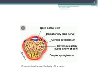 12
Dept of Urology, GRH
and KMC, Chennai.
 