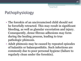 Pathophysiology
• The foreskin of an uncircumcised child should not
be forcefully retracted. This may result in significant
bleeding, as well as glanular excoriation and injury.
Consequently, dense fibrous adhesions may form
during the healing process, leading to true
pathologic phimosis.
• Adult phimosis may be caused by repeated episodes
of balanitis or balanoposthitis. Such infections are
commonly due to poor personal hygiene (failure to
regularly clean under the foreskin).
18
Dept of Urology, GRH
and KMC, Chennai.
 