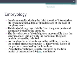 Embryology
• Developmentally, during the third month of intrauterine
life (65 mm fetus), a fold of skin develops at the base of
the glans penis.
• This fold of skin grows distally from the glans penis and
eventually becomes the prepuce.
• The dorsal aspect of the fold grows more rapidly than the
ventral aspect, initially only the dorsum of the glans
penis is covered by this fold.
• As the glanular urethra fuses in the midline, it carries
the ventral prepuce along with it. This ventral fusion of
the prepuce is marked by the frenulum.
• Preputial formation is usually complete by the fifth
month of intrauterine life (100 mm fetus).
6
Dept of Urology, GRH
and KMC, Chennai.
 