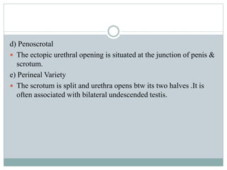 d) Penoscrotal
 The ectopic urethral opening is situated at the junction of penis &
scrotum.
e) Perineal Variety
 The scrotum is split and urethra opens btw its two halves .It is
often associated with bilateral undescended testis.
 