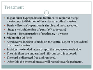 Treatment
 In glandular hypospadias no treatment is required except
meatotomy & dilatation of the external urethral meatus.
 Denis – Browne’s operation is simple and most accepted.
 Stage 1 – straightening of penis(11/2 to 2 years)
 Stage 2 – Reconstruction of urethra.(5 – 7 years)
Straightening Of Penis
 A transverse incision is made on the ventral aspect of penis distal
to external meatus.
 Incision is extended laterally upto the prepuce on each side.
 The skin flaps are undermined , fibrous cord is exposed.
 The cord is dissected free and removed.
 After this the external meatus will receed towards perineum.
 