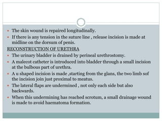  The skin wound is repaired longitudinally.
 If there is any tension in the suture line , release incision is made at
midline on the dorsum of penis.
RECONSTRUCTION OF URETHRA
 The urinary bladder is drained by perineal urethrostomy.
 A malecot catheter is introduced into bladder through a small incision
at the bulbous part of urethra.
 A u shaped incision is made ,starting from the glans, the two limb sof
the incision join just proximal to meatus.
 The lateral flaps are undermined , not only each side but also
backwards.
 When this undermining has reached scrotum, a small drainage wound
is made to avoid haematoma formation.
 