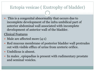 Ectopia vesicae ( Exstrophy of bladder)
 This is a congenital abnormality that occurs due to
incomplete development of the infra umbilical part of
anterior abdominal wall associated with incomplete
development of anterior wall of the bladder.
Clinical Features
 Male are affected more (4:1)
 Red mucous membrane of posterior bladder wall protrudes
out with visible efflux of urine from ureteric orifice.
 Umbilicus is absent.
 In males , epispadias is present with rudimentary prostate
and seminal vesicles.
 