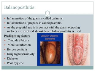 Balanoposthitis
 Inflammation of the glans is called balanitis.
 Inflammation of prepuce is called posthitis.
 As the preputial sac is in contact with the glans, opposing
surfaces are involved almost hence balanoposthitis is used.
Predisposing factors
 Candida albicans
 Monilial infection
 Herpes genitalis
 Drug hypersensitivity
 Diabetes
 Poor hygiene
 