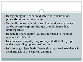  In beginning the nodes are discrete as inflammation
proceeds nodes become matted.
 Gradually necrosis develop and fluctuant sac are formed
.the bubos may rupture through the skin to produce
draining sinus.
 In male the adenopathy is almost localised to inguinal
region & is bilateral
 In females adenopathy may or may nit affect the lymph
nodes depending upon site of lesion.
 In later stage , lymphatic obstruction may lead to oedema &
elephantiasis of the external genitalia.
 