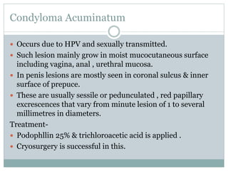 Condyloma Acuminatum
 Occurs due to HPV and sexually transmitted.
 Such lesion mainly grow in moist mucocutaneous surface
including vagina, anal , urethral mucosa.
 In penis lesions are mostly seen in coronal sulcus & inner
surface of prepuce.
 These are usually sessile or pedunculated , red papillary
excrescences that vary from minute lesion of 1 to several
millimetres in diameters.
Treatment-
 Podophllin 25% & trichloroacetic acid is applied .
 Cryosurgery is successful in this.
 