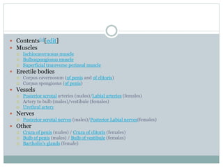  Contents[1][edit]
 Muscles
 Ischiocavernosus muscle
 Bulbospongiosus muscle
 Superficial transverse perineal muscle
 Erectile bodies
 Corpus cavernosum (of penis and of clitoris)
 Corpus spongiosus (of penis)
 Vessels
 Posterior scrotal arteries (males)/Labial arteries (females)
 Artery to bulb (males)/vestibule (females)
 Urethral artery
 Nerves
 Posterior scrotal nerves (males)/Posterior Labial nerves(females)
 Other
 Crura of penis (males) / Crura of clitoris (females)
 Bulb of penis (males) / Bulb of vestibule (females)
 Bartholin's glands (female)
 