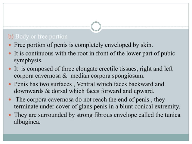 Penis & disorders | PPTX