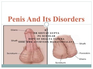 Penis Frenulum: Location, Function & Conditions