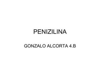 PENIZILINA

GONZALO ALCORTA 4.B
 