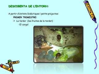 DESCOBERTA DE L’ENTORN:DESCOBERTA DE L’ENTORN:
A partir d’Unitats Didàctiques i petits projectes:
PRIMER TRIMESTRE:
 La tardor (les fruites de la tardor)
· El cargol
 