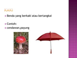  Benda   yang berkaki atau bertangkai

 Contoh:
 cendawan,payung
 
