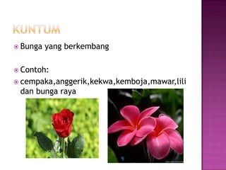  Bunga   yang berkembang

 Contoh:
 cempaka,anggerik,kekwa,kemboja,mawar,lili
 dan bunga raya
 