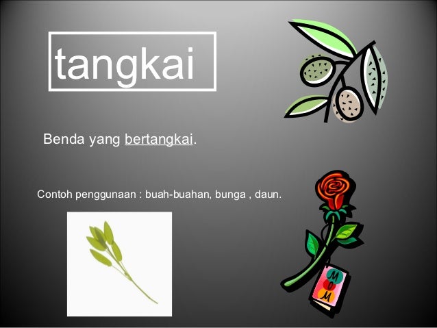 Penjodoh bilangan