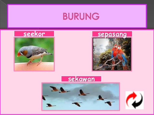 Penjodoh bilangan