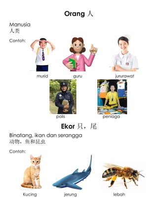 Orang 人
Manusia
人类
Contoh:




          murid           guru        jururawat




                  polis          peniaga

                    Ekor 只，尾
Binatang, ikan dan serangga
动物，鱼和昆虫
Contoh:




     Kucing           jerung         lebah
 