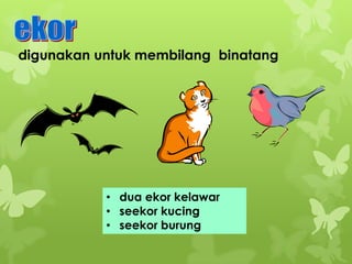 digunakan untuk membilang binatang

• dua ekor kelawar
• seekor kucing
• seekor burung

 