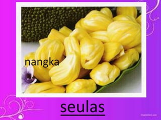nangka
_____seulas
 