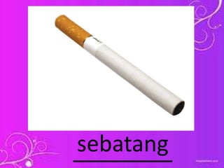 ________sebatang
 