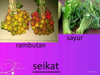 _____seikat
rambutan
sayur
 