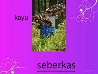 _______seberkas
kayu
 