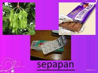 _______sepapan
 