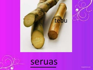_____seruas
tebu
 