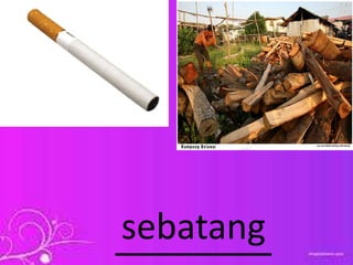 ________sebatang
 