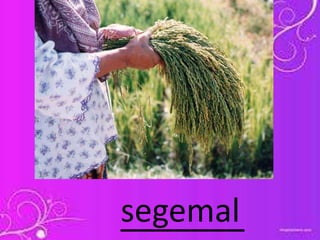 _______segemal
 