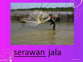 _______ jalaserawan
 