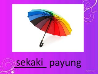 ______ payungsekaki
 