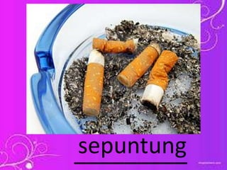 _________sepuntung
 