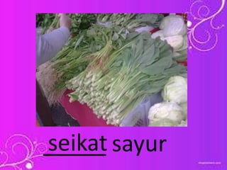 _____ sayurseikat
 