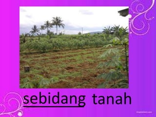_______ tanahsebidang
 