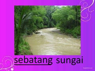 _______ sungaisebatang
 