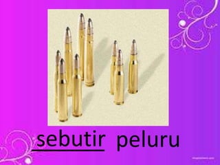 ______ pelurusebutir
 