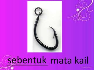 ________ mata kailsebentuk
 