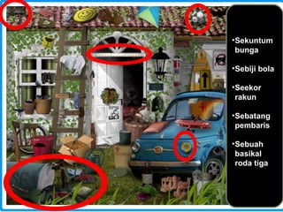 Sekuntum bunga Sebiji bola Seekor rakun Sebatang pembaris Sebuah basikal roda tiga 