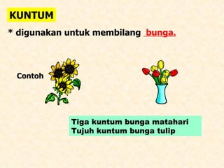 KUNTUM * digunakan untuk membilang  bunga. Contoh  Tiga kuntum bunga matahari Tujuh kuntum bunga tulip 