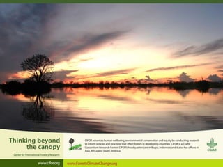 PEN: How global-comparative data challenges conventional wisdom