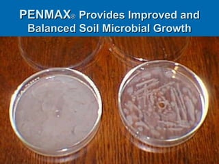 PENMAXPENMAX®® Provides Improved andProvides Improved and
Balanced Soil Microbial GrowthBalanced Soil Microbial Growth
 