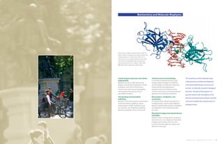 Biochemistry and Molecular Biophysics




The p53 tumor suppressor protein binds to DNA as a
dimer of dimers to regulate transcription of genes that
mediate responses to cellular stress. Shown is the
structure of a p53 core domain dimer bound to DNA
with the DNA in red, protein subunits in blue and
aqua and bound zinc ions in yellow. (J. Biol. Chem.
281:20494-20502, 2006, Ronen Marmorstein)




Control of gene expression and cellular                   Chemical and structural biology                 The central focus of the Graduate Group
programming                                               In the area of chemical and structural
                                                                                                          in Biochemistry and Molecular Biophysics
Research focuses on RNA splicing and                      biology, topics of research include the
disease, transcriptional regulation, histone              structural basis of molecular recognition,      is the relationship between structure and
acetylation, cell cycle control/cancer,                   protein design and engineering,
                                                                                                          function of molecules involved in biological
chromosome structure and segregation,                     pathways of protein folding, enzyme
and programming and function of                           reaction mechanisms, and computational          processes. The goal of the program is to
specialized cell types.                                   approaches to molecular biophysics.
                                                                                                          provide students with a foundation in the
Cell signaling and intracellular                          Bioenergetics, metabolism, and
                                                                                                          physical, chemical and quantitative methods
trafficking                                               membranes
Research in this area examines mechanisms                 This area involves radical mechanisms in        necessary to explore the molecular basis of
of transmembrane signaling, nuclear                       metalloenzymes, insulin action/diabetes,
                                                                                                          biological events.
import/export of RNA, membranes and                       electron transfer/redox proteins, integration
ion channels, and intracellular signaling                 of metabolism, and membrane protein
pathways, apoptosis versus cell survival.                 structure.
                                                          Biomedical imaging and supramolecular
                                                          assemblies
                                                          Research topics include optical imaging in
                                                          tissues/cancer, in vivo Magnetic Resonance
                                                          Imaging, spectroscopy, structure and
                                                          function of macromolecular motors, and
                                                          electron microscopy.




                                                                                                           BIOMEDICAL GRADUATE STUDIES                   5
 
