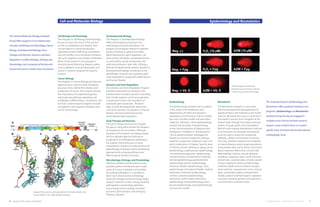 Cell and Molecular Biology                                                                                                                Epidemiology and Biostatistics


The Cell and Molecular Biology Graduate                  Cell Biology and Physiology                      Developmental Biology
                                                         The Program in Cell Biology and Physiology       The Program in Developmental Biology
Group offers programs in six related areas
                                                         focuses on basic functions of the cell and       offers interdisciplinary training in the
of study: Cell Biology and Physiology, Cancer            its links to metabolism and disease, with        embryology of animals and plants. The
                                                         concentrations in signal transduction,           program encompasses research in gameto-
Biology, Developmental Biology, Gene
                                                         subcellular protein trafficking, cytoskeleton    genesis, fertilization, pattern formation,
Therapy and Vaccines, Genetics and Gene                  and cell motility, cross-membrane transport,     signal transduction, gene regulation, cell
                                                         cell cycle regulation and cellular metabolism.   cycle control, cell death, cytoskeletal dynam-
Regulation, and Microbiology, Virology and
                                                         Much of the research in this program is          ics, cell motility, neural connectivity, and
Parasitology, each composed of faculty with              directed toward dissecting disease models,       adult and embryonic stem cells. Utilizing a
                                                         such as diabetes, muscular dystrophy, and        diversity of experimental systems, research in
interests focused on similar areas of research.
                                                         cancer, in systems ranging from yeast to         developmental biology contributes to the
                                                         humans.                                          identification of genes and regulatory path-
                                                                                                          ways implicated in congenital malformations
                                                         Cancer Biology
                                                                                                          and human disease.
                                                         The Program in Cancer Biology provides the
                                                         opportunity to study the basic biological        Genetics and Gene Regulation                                                                                      DNA damage associated with
                                                         processes that underlie the initiation and       The Genetics and Gene Regulation Program                                                                          pesticide exposure shown using the
                                                         progression of cancer. The program stresses      provides comprehensive training in the                                                                            COMET assay. (Linda A. McCauley)
                                                         the importance of fundamental genetic            fundamentals of modern genetics (including
                                                         and molecular pathways regulating cell           both model organism and human genetics
                                                         proliferation, differentiation, movement, and    and genomics) and in the regulation of
                                                                                                                                                           Epidemiology                                     Biostatistics                                        The Graduate Group in Epidemiology and
                                                         survival. Current research programs include      eukaryotic gene expression. Research
                                                         oncogenesis, cell migration/metatasis, and       areas include developmental, behavioral          The Epidemiology program trains students         The Biostatistics program is concerned               Biostatistics offers graduate training in two
                                                         cancer immunology.                               and cancer genetics, the genetics of human       in the study of the distribution and             with the development and application of
                                                                                                                                                                                                                                                                 programs: Epidemiology and Biostatistics.
                                                                                                          disease, and transcriptional and post-           determinants of health and disease in            statistical theory and methods to the health
                                                                                                          transcriptional gene regulation.                 populations, and the basic science underly-      sciences. Biostatisticians play a crucial role in    Graduate Group faculty are engaged in
                                                                                                                                                           ing much of public health and preventive         the research process, from inception of the
                                                                                                          Gene Therapy and Vaccines                                                                                                                              multiple active clinical and basic research
                                                                                                                                                           medicine. Training in clinical epidemiology      research plan through the analysis and pub-
                                                                                                          The Gene Therapy and Vaccines Program
                                                                                                                                                           extends the principles of epidemiology           lication of study results. Every biomedical          projects, many of which focus on content-
                                                                                                          focuses on using gene transfer for therapeu-
                                                                                                                                                           to the critical evaluation of diagnosis and      field of study employs biostatistical methods
                                                                                                          tic purposes or for vaccination. Although                                                                                                              specific areas of interest and include relevant
                                                                                                                                                           therapeutic modalities in clinical practice.     to some extent. For example, biostatistical
                                                                                                          the goals of the research are disease-based
                                                                                                                                                           Clinical epidemiologists investigate the         tools are used to assess the magnitude,              methodologic work.
                                                                                                          with an ultimate objective directed to
                                                                                                                                                           frequency, outcome, prognosis, etiology,         reliability, validity, and precision of associa-
                                                                                                          prophylactic and therapeutic applications,
                                                                                                                                                           treatment, prevention, diagnosis, costs, and     tions (e.g., between exposures and disease)
                                                                                                          the research training focuses on basic
                                                                                                                                                           policy implications of disease. Specific areas   to make inferences about target populations
                                                                                                          investigations relevant to understanding the
                                                                                                                                                           of interest include: adherence, aging, cancer    using sample data, and to derive conclusions
                                                                                                          pathobiology of diseases and to developing
                                                                                                                                                           epidemiology, cardiovascular epidemiology,       about treatment effects from clinical trials.
                                                                                                          approaches for achieving efficient and
                                                                                                                                                           clinical pharmacogenomic epidemiology,           Methodologic interests include: Bayesian
                                                                                                          effective gene transfer in humans.
                                                                                                                                                           complementary and alternative medicine,          modeling, categorical data, causal inference,
                                                                                                          Microbiology, Virology, and Parasitology         dermatoepidemiology, gastrointestinal            clinical trials, clustered data, complex sample
                                                                                                          Infectious diseases resulting from viruses,      epidemiology, genetic epidemiology,              surveys, diagnostic testing, epidemiologic
                                                                                                          parasites, prions, and bacteria are a major      infectious diseases epidemiology, injury         methods, health services research, longitu-
                                                                                                          cause of human morbidity and mortality.          epidemiology, international health, medical      dinal methods, measurement errors, missing
                                                                                                          By studying pathogens, it is possible to         informatics, molecular epidemiology,             data, multivariate analysis, nonparametric
                                                                                                          learn much about normal cell biology,            nutrition, pharmacoepidemiology,                 models, patient-oriented research, repeated
                                                                                                          molecular biology, and immunology. Major         prevention, public health, pulmonary             measures, statistical genetics and genomics,
                                                                                                          research interests include virology, bacterial   epidemiology, renal epidemiology, repro-         survival analysis, and time series.
                                                                                                          pathogenesis, parasitology, pathogen             ductive epidemiology, social epidemiology,
                                                                                                          immunology, tumor virology, microbial            and women’s health.
                         Image of the crystal structure glycoprotein B of herpes simplex virus.           genomics and evolution, and emerging
                         (Science 213:217-220, 2006, Roselyn Eisenberg)                                   infectious diseases.

6   w w w.med.upen n .e du/bgs                                                                                                                                                                                                                                   BIOMEDICAL GRADUATE STUDIES                     7
 