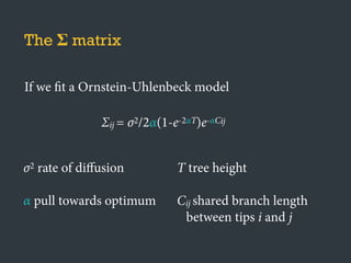 The Σ matrix
If we fit a Ornstein-Uhlenbeck model
Σij = σ2/2α(1-e-2αT)e-αCij
σ2 rate of diﬀusion
α pull towards optimum
T tree height
Cij shared branch length
between tips i and j
 