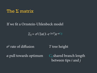 The Σ matrix
If we fit a Ornstein-Uhlenbeck model
Σij = σ2/2α(1-e-2αT)e-αCij
σ2 rate of diﬀusion
α pull towards optimum
T tree height
Cij shared branch length
between tips i and j
 