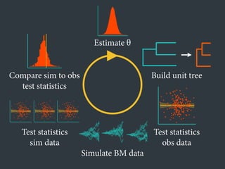 Estimate θ
Build unit tree
Test statistics
obs data
Simulate BM data
Test statistics
sim data
●
●
●
●
●
●
●
●
●
●
●
●●
●
●
●
●
●
●● ●
●
●
●
●
●●
●
●
●
●
●
●
●
●
●
●
●
●
●
●
●
●
●
●
●
●
●
●
●
●
●
●
●
●
●
●
●
●
●
●
●
●
●
●
●
●
●
●
●
●
●
●
●
●
●
●
●
●
●
●
● ●
●
●
●●
●
●
●
●
●
●
●
●
●
●
●
●
●
●
●
●
●
●
●
●
●
●
●
●
●
●
●
●
●
●
●
● ●
●
●
●
●
●
●
●
●●
●
●
●
●
●
●
●
●
●●
●
●
●
●
●
●
●
●
●
●
●
●
●
●
●
●
●
●
●
●
●
●
●
●●
●
●
●
●
●
●
●
●
●●
●
●
●
●
●
●
●
●
●
●
●●
●
●
●
●
●
●
●
●
●
● ●
●
●
●
●
●
●
●
●
●
●
●
●
●
●●
●
●
●
●
●
●● ●
●
●
●
●
●●
●
●
●
●
●
●
●
●
●
●
●
●
●
●
●
●
●
●
●
●
●
●
●
●
●
●
●
●
●
●
●
●
●
●
●
●
●
●
●
●
●
●
●
●
●
●
●
●
●
●
●
●
●
●
● ●
●
●
●●
●
●
●
●
●
●
●
●
●
●
●
●
●
●
●
●
●
●
●
●
●
●
●
●
●
●
●
●
●
●
●
● ●
●
●
●
●
●
●
●
●●
●
●
●
●
●
●
●
●
●●
●
●
●
●
●
●
●
●
●
●
●
●
●
●
●
●
●
●
●
●
●
●
●
●●
●
●
●
●
●
●
●
●
●●
●
●
●
●
●
●
●
●
●
●
●●
●
●
●
●
●
●
●
●
●
● ●
●
●
●
●
●
●
●
●
●
●
●
●
●
●●
●
●
●
●
●
●● ●
●
●
●
●
●●
●
●
●
●
●
●
●
●
●
●
●
●
●
●
●
●
●
●
●
●
●
●
●
●
●
●
●
●
●
●
●
●
●
●
●
●
●
●
●
●
●
●
●
●
●
●
●
●
●
●
●
●
●
●
● ●
●
●
●●
●
●
●
●
●
●
●
●
●
●
●
●
●
●
●
●
●
●
●
●
●
●
●
●
●
●
●
●
●
●
●
● ●
●
●
●
●
●
●
●
●●
●
●
●
●
●
●
●
●
●●
●
●
●
●
●
●
●
●
●
●
●
●
●
●
●
●
●
●
●
●
●
●
●
●●
●
●
●
●
●
●
●
●
●●
●
●
●
●
●
●
●
●
●
●
●●
●
●
●
●
●
●
●
●
●
● ●
●
●
●
●
●
●
●
●
●
●
●
●
●
●●
●
●
●
●
●
●● ●
●
●
●
●
●●
●
●
●
●
●
●
●
●
●
●
●
●
●
●
●
●
●
●
●
●
●
●
●
●
●
●
●
●
●
●
●
●
●
●
●
●
●
●
●
●
●
●
●
●
●
●
●
●
●
●
●
●
●
●
● ●
●
●
●●
●
●
●
●
●
●
●
●
●
●
●
●
●
●
●
●
●
●
●
●
●
●
●
●
●
●
●
●
●
●
●
● ●
●
●
●
●
●
●
●
●●
●
●
●
●
●
●
●
●
●●
●
●
●
●
●
●
●
●
●
●
●
●
●
●
●
●
●
●
●
●
●
●
●
●●
●
●
●
●
●
●
●
●
●●
●
●
●
●
●
●
●
●
●
●
●●
●
●
●
●
●
●
●
●
●
● ●
●
●
Compare sim to obs
test statistics
 